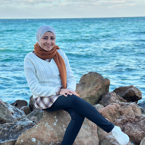 shaimaa Hassaneen